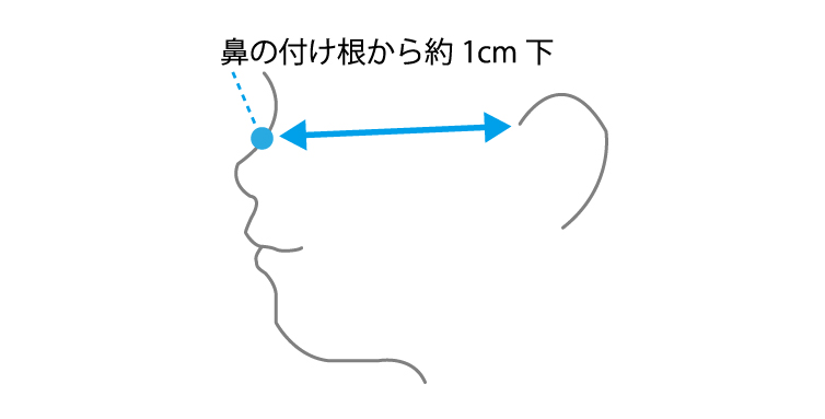 姫路麗プロ　マスク