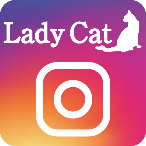 ladycatinstagram